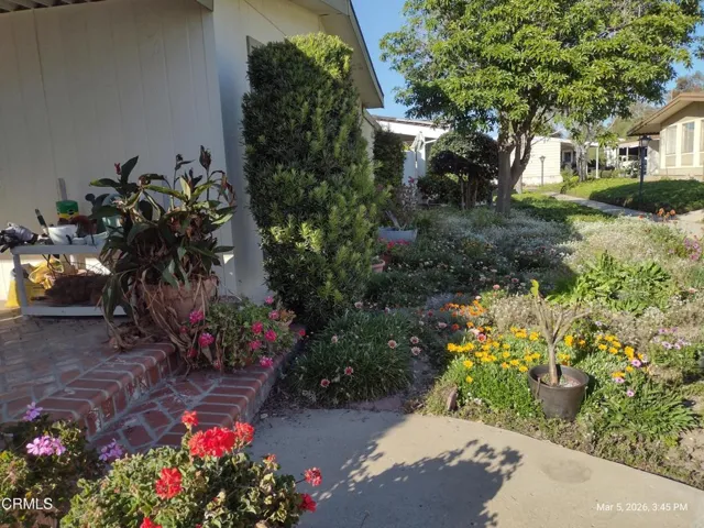 IMG_20260305_154504510_HDR