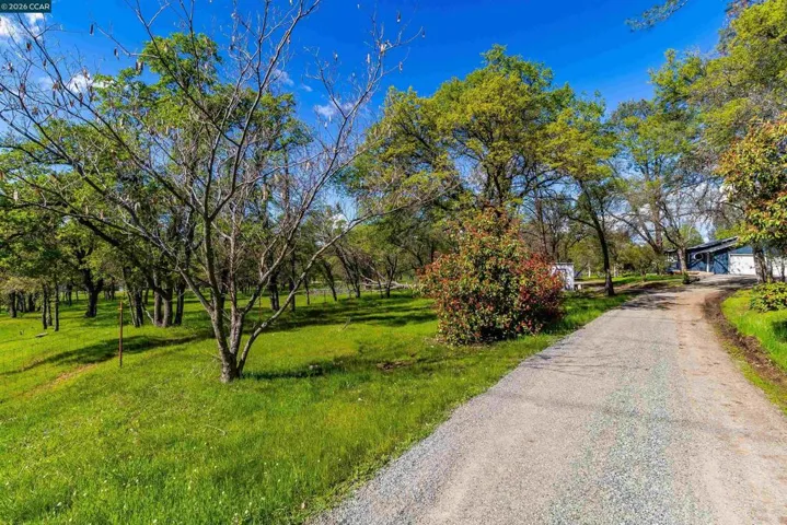 125 125 Sam Lynn Way, Oroville, California 95966