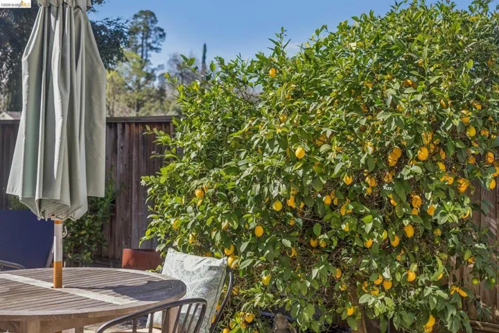 View of patio featuring outdoor dining space