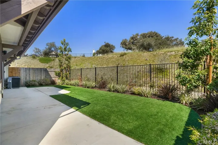 Back Yard & Patio
