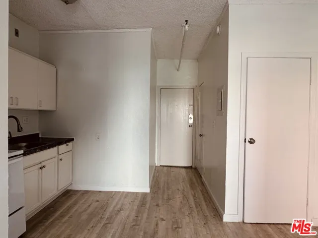 Unit Door and Walk in Closet