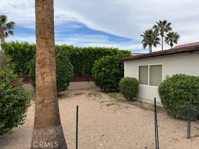 Rear Yard