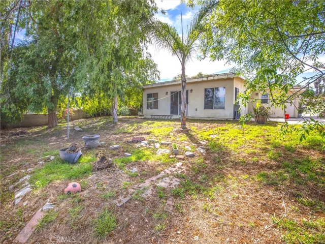 View From The Backyard