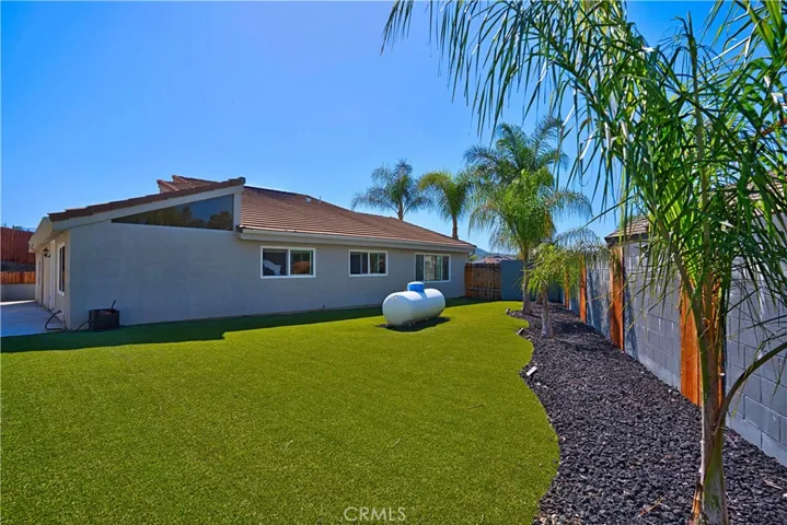 TURF BACKYARD