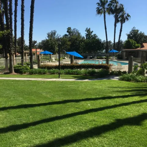 View of West pool/spa (one of three) on complex