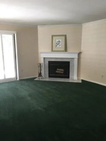 Living room fireplace with gas logs leads to rear patio