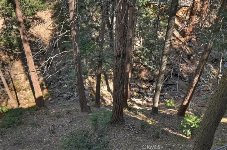 seasonal stream