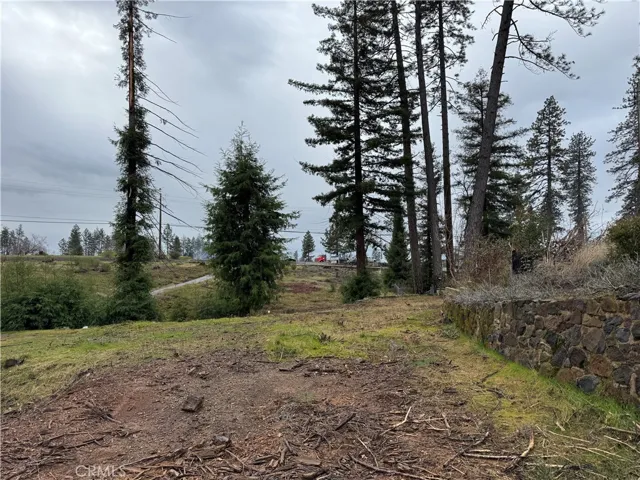 1037 Thomasson Lane Paradise, CA