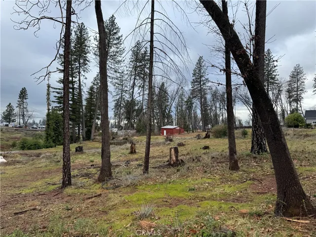  1037 Thomasson Lane Paradise, CA