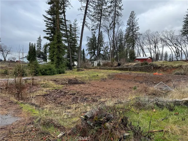 1037 Thomasson Lane Paradise, CA