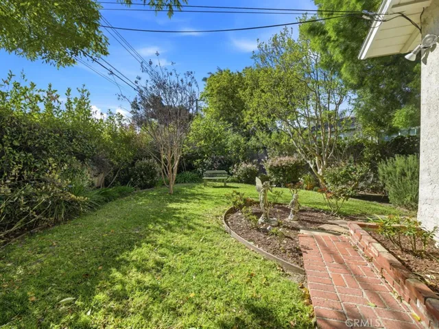 grassy area in back yard