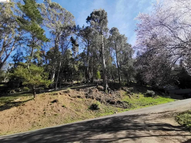 View of asphalt street featuring view of wooded area