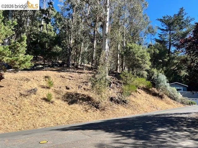 View of asphalt road