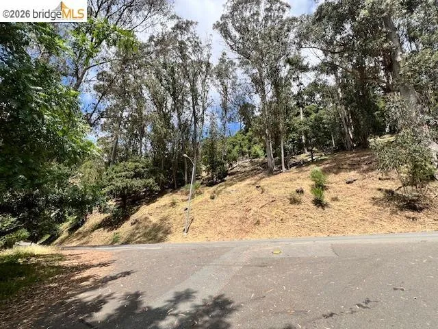 View of asphalt street featuring view of wooded area