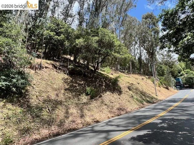 View of asphalt street with view of wooded area