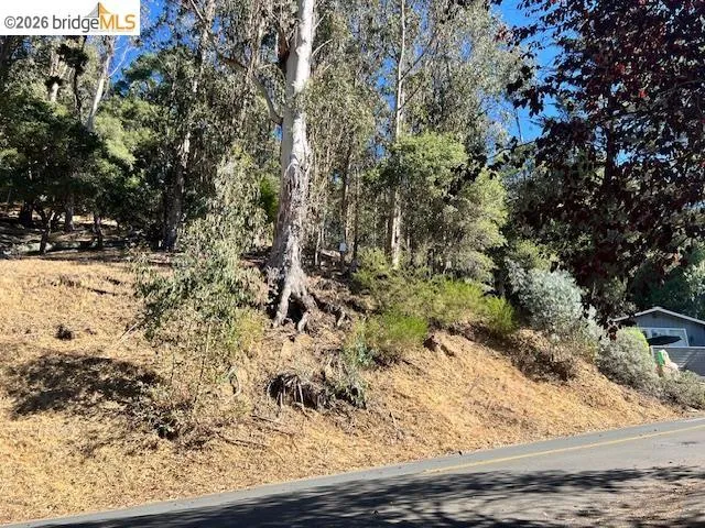 View of wooded area