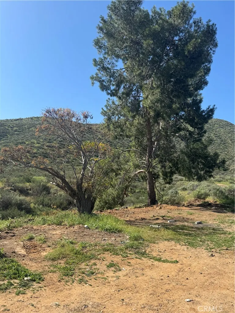 tree at approx 
SW corner