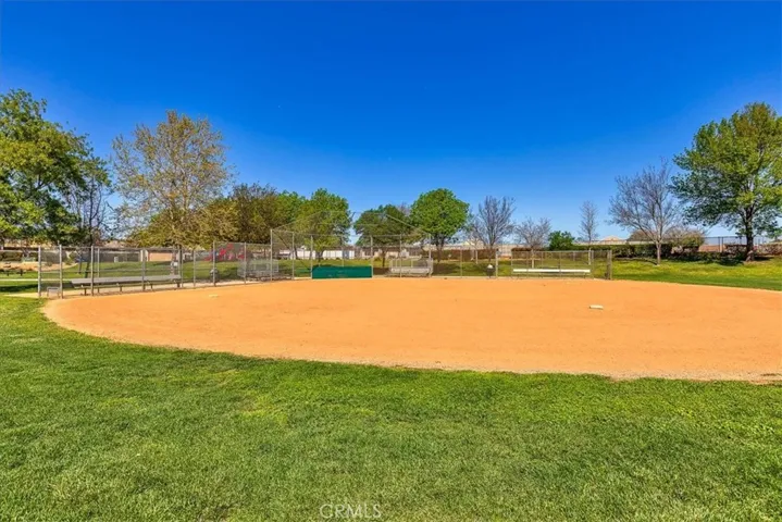 Field of YOUR DREAMS