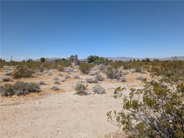 view to the west
