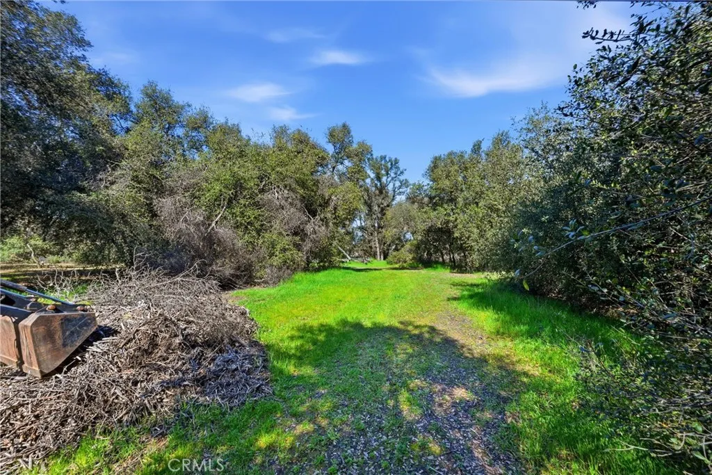 Permitted Septic in and approved for 4 BDRM, located in this area.  Also a great area close by for build site.
