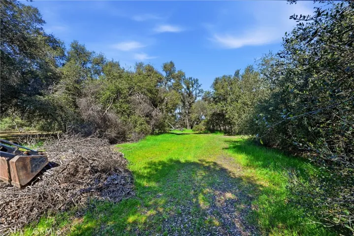 Permitted Septic in and approved for 4 BDRM, located in this area.  Also a great area close by for build site.