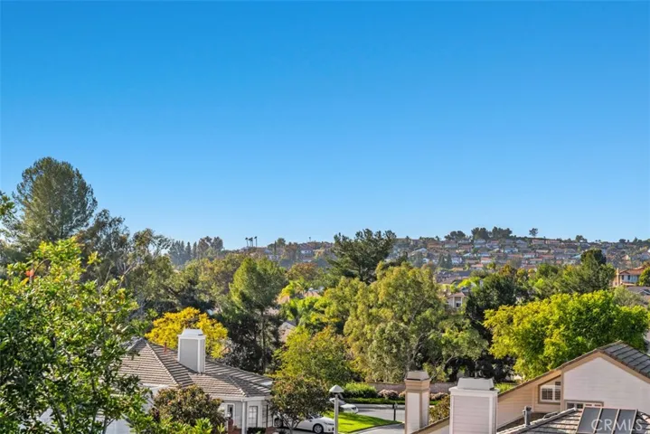 Panoramic View