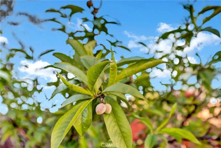 Grow your own food.