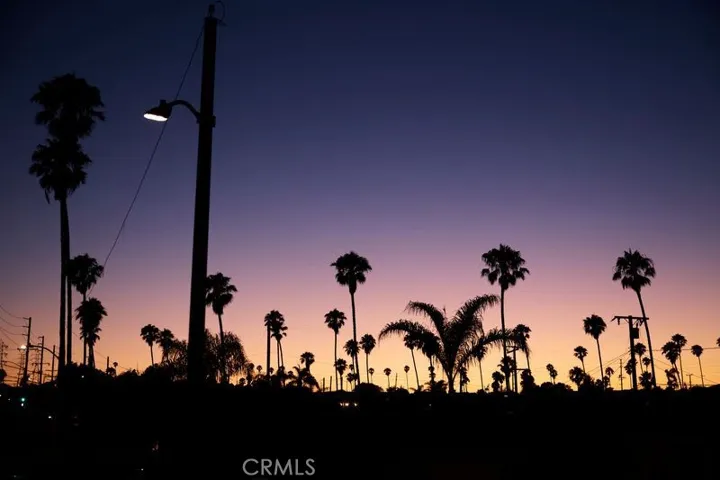 view from family room window