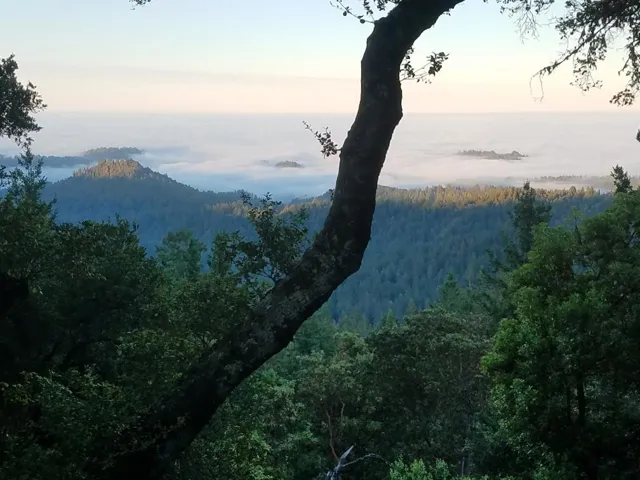 Actual view - photo taken by owner.