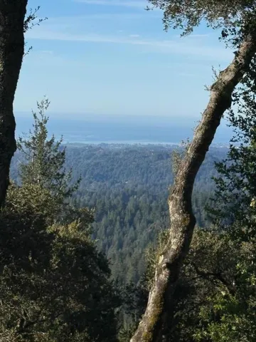 View of Santa Cruz & Bay 3-12-2026
