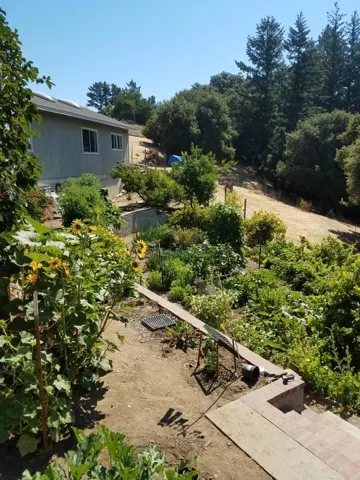 Garden - photo taken during Summer.