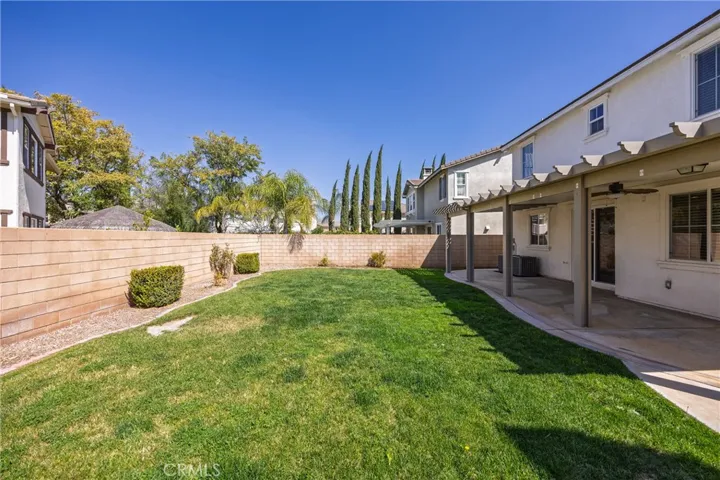 Back Yard 2