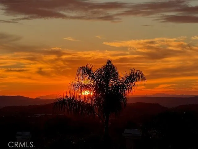 Nature's Artistry