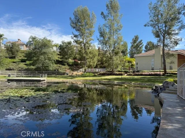 Pond