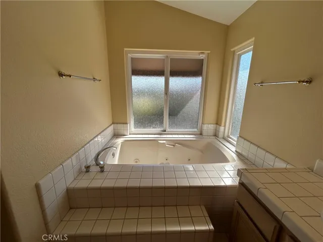 Primary Bathroom Spa