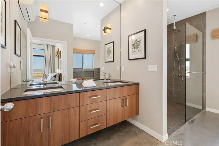 Main Suite Shower and Sinks