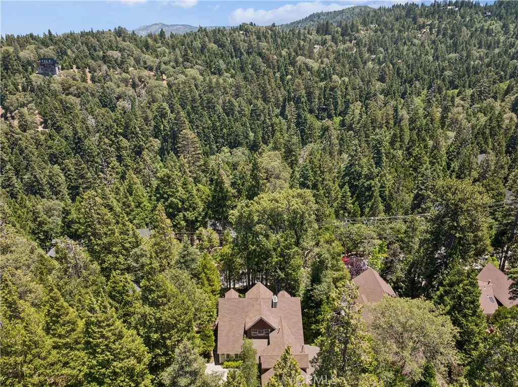 Aerial