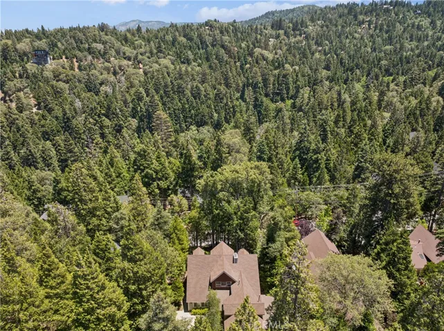 Aerial