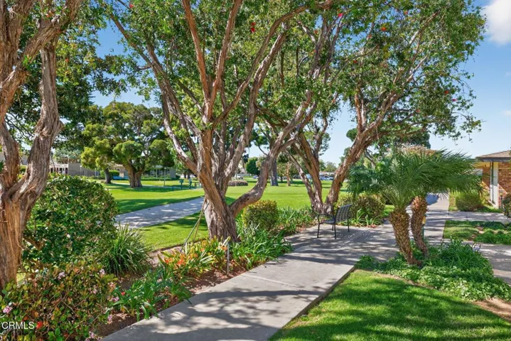 71-web-or-mls-UpmarketMedia-31WDel-182