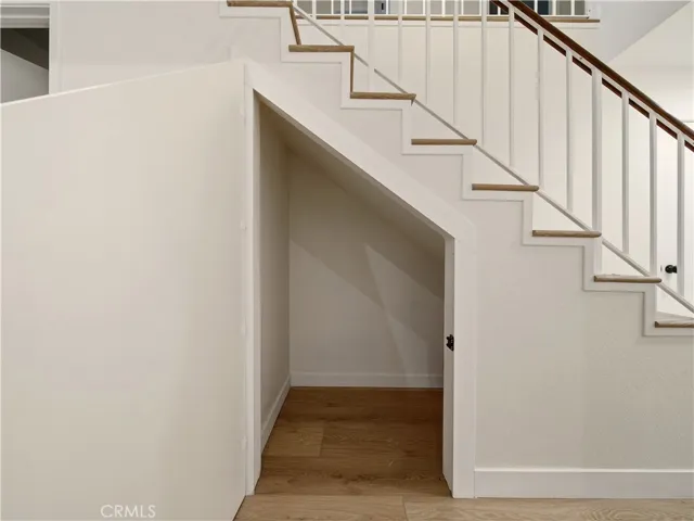 Storage Under Stairs