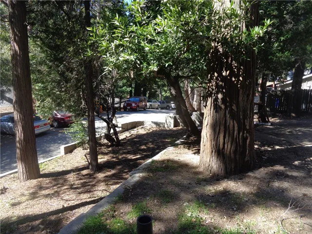 Front yard by street