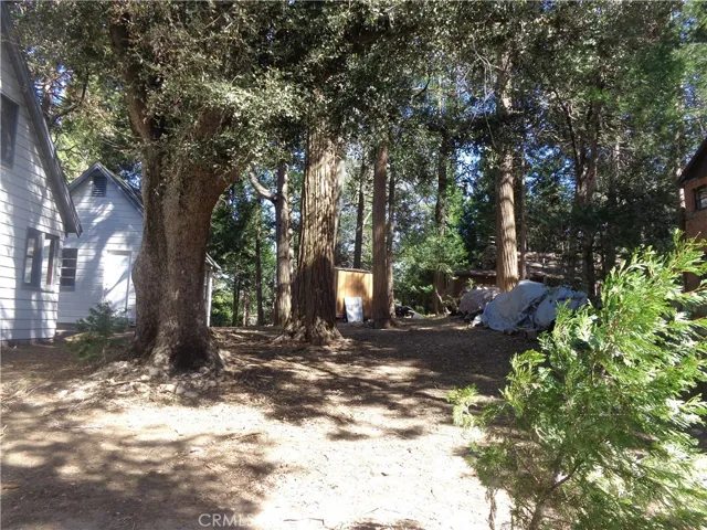 Side yard and view of ADU storage shed