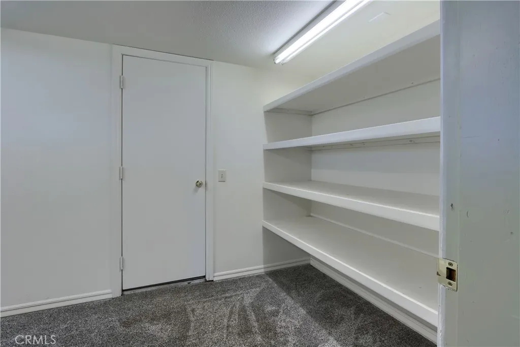 Downstair Closet