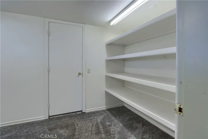 Downstair Closet