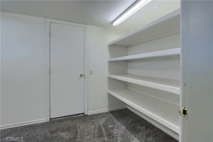 Downstair Closet
