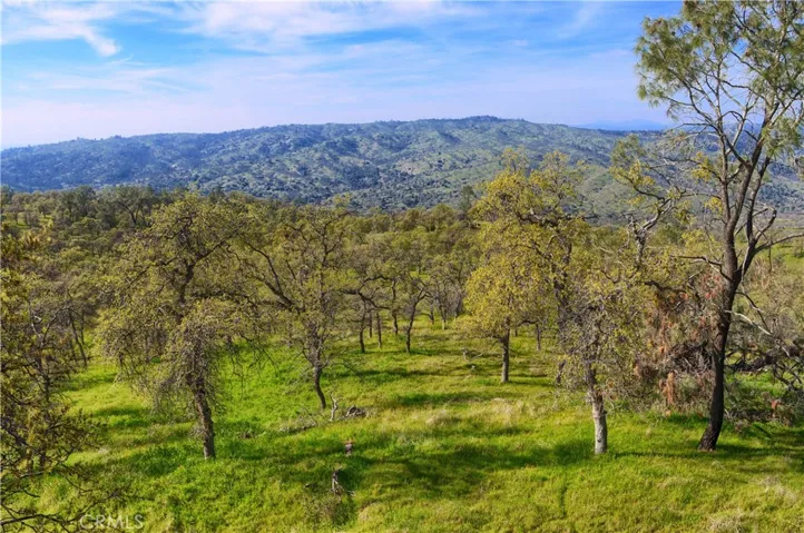 41345 Lilley Mountain R, Coarsegold, California 94614
