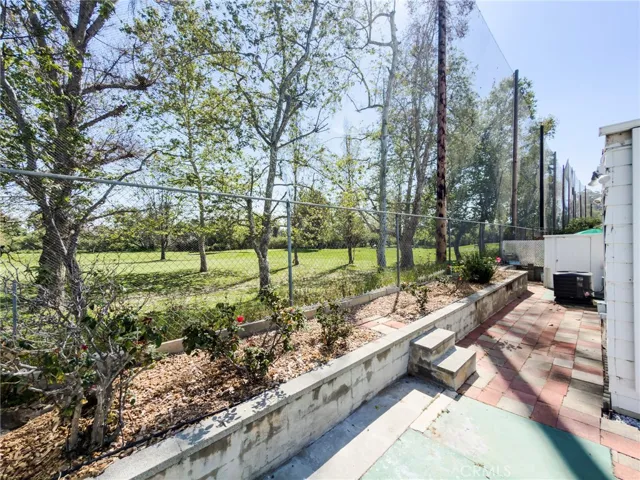 Back yard
