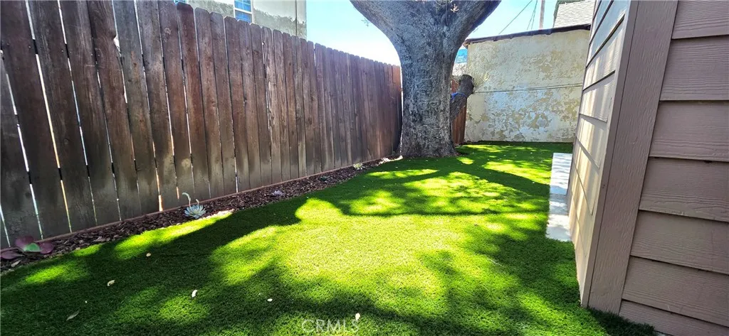 Brand New Backyard