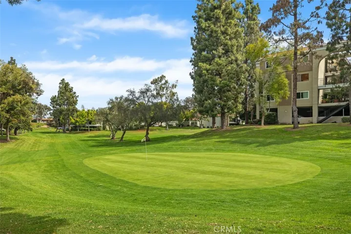 5506 Paseo Del Lago W N, Laguna Woods, California 92637