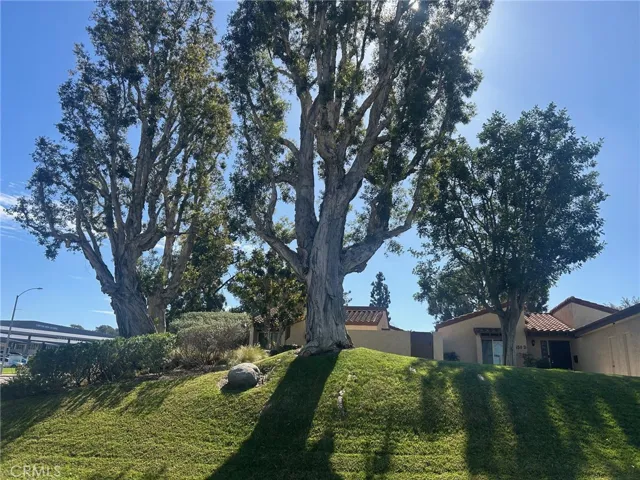 Beautiful Rancho Yorba complex